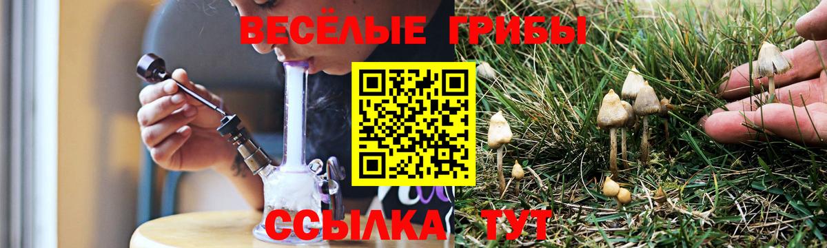 Галлюциногенные грибы Psilocybine cubensis Старая Русса